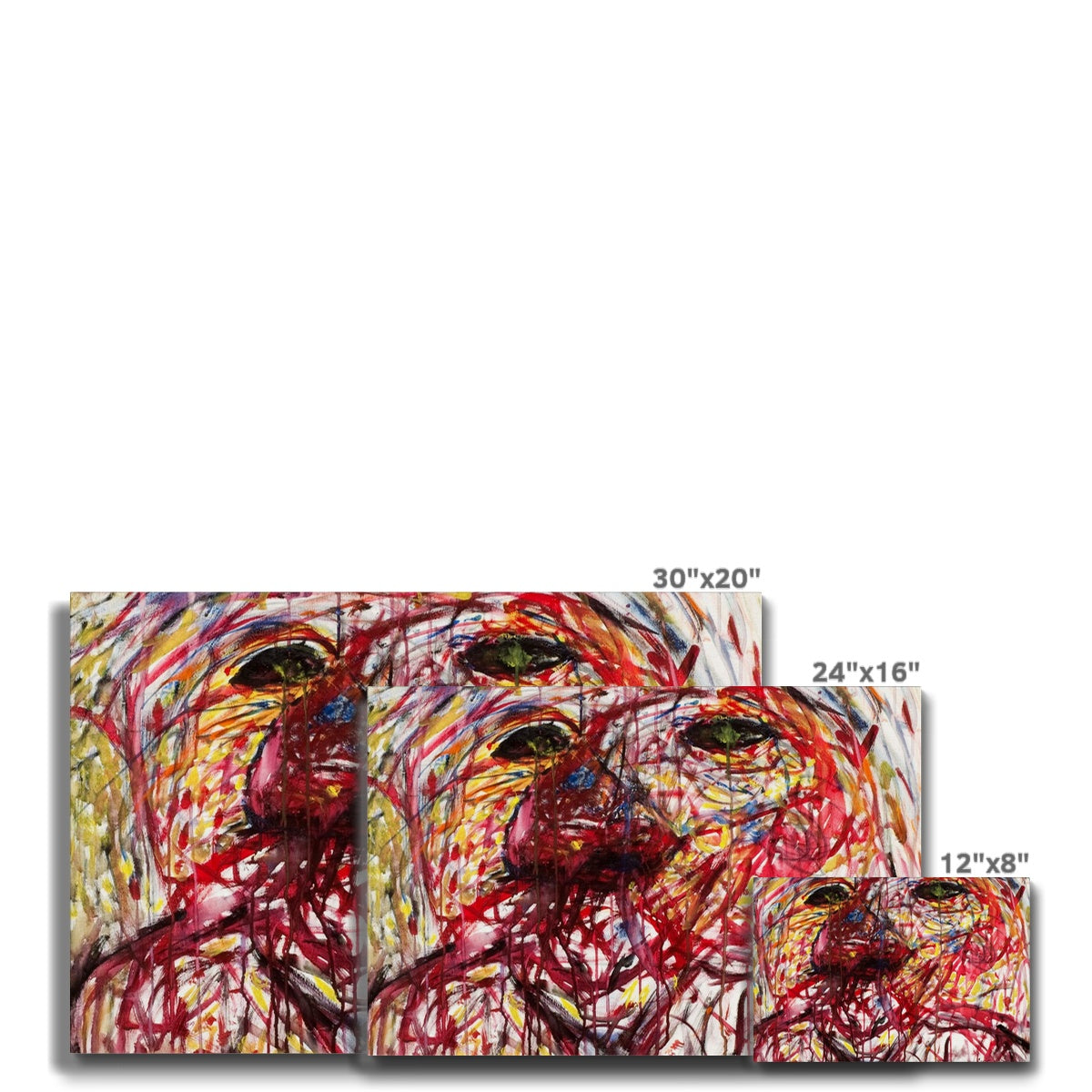 Troubled  Eco Canvas