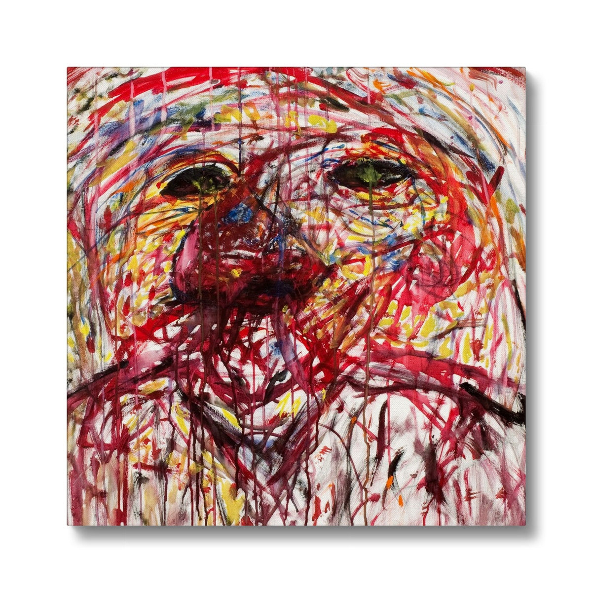 Troubled  Eco Canvas