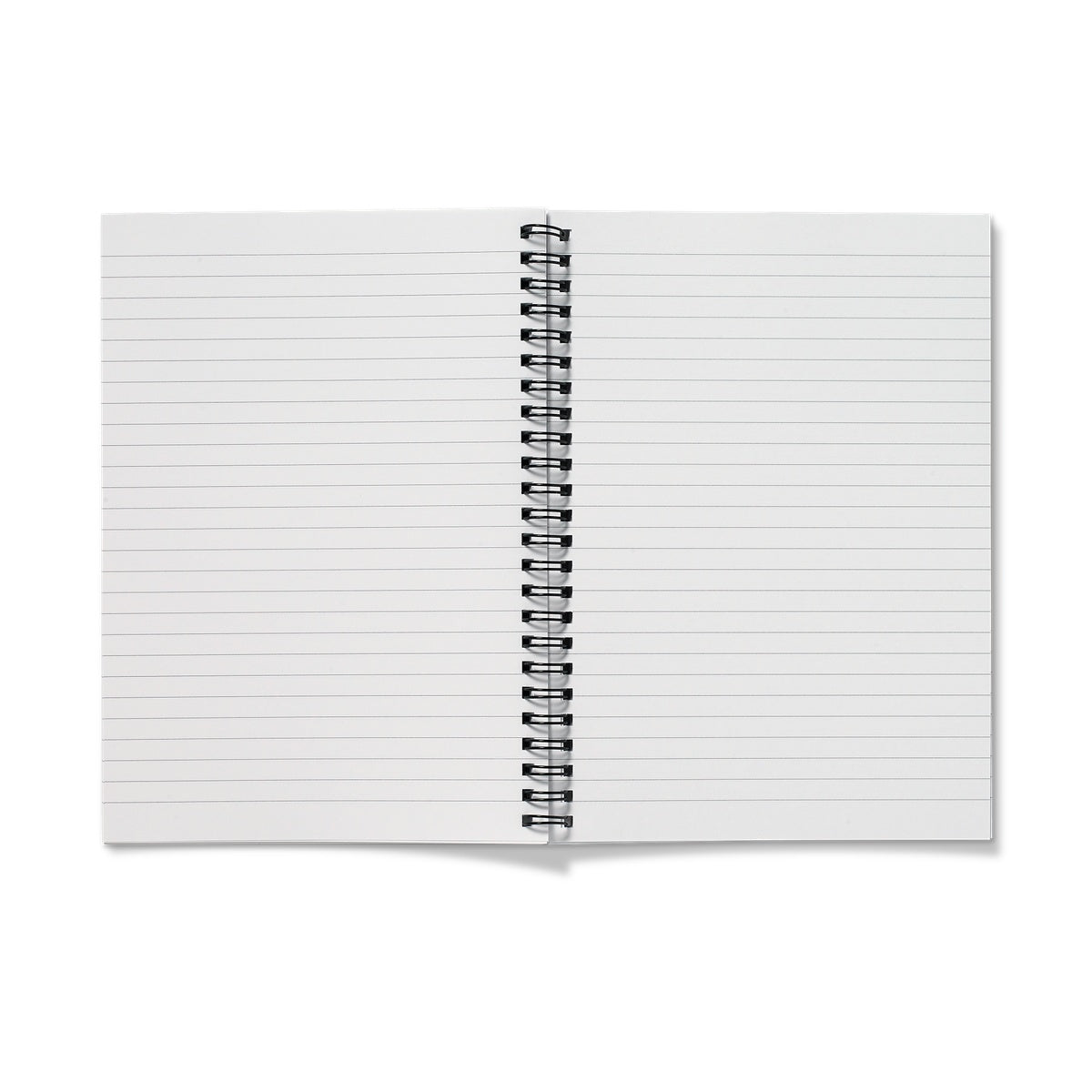 RAY Notebook